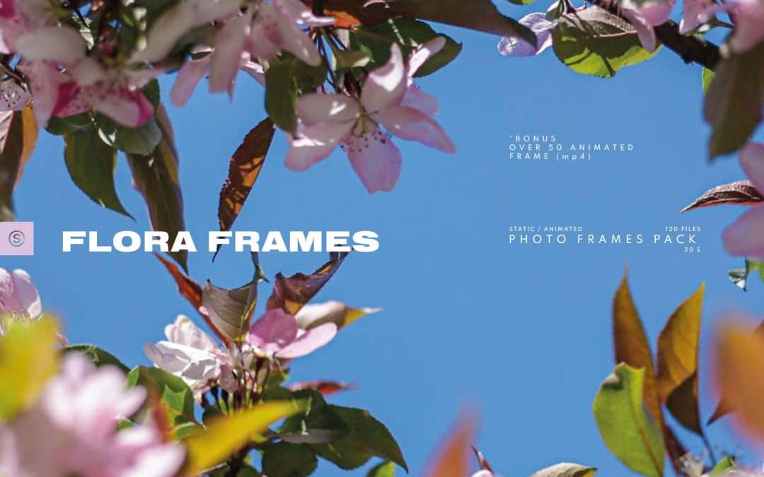 Scroll-Stopping Social Media Video Backgrounds for Stories